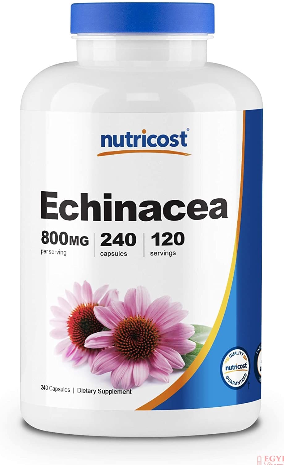 Nutricost Echinacea 800 mg, 240 Capsules - High Quality Veggie Caps, 120 Servings اشنسيا النباتية عالية الجودة 800 مجم ، 240 كبسولة