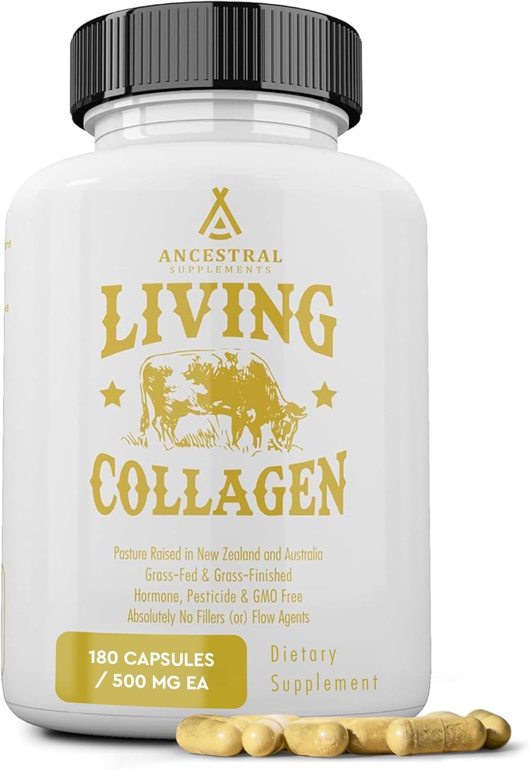 Ancestral Supplements Grass Fed Beef Living Collagen |Type II Collagen  |180 Capsules