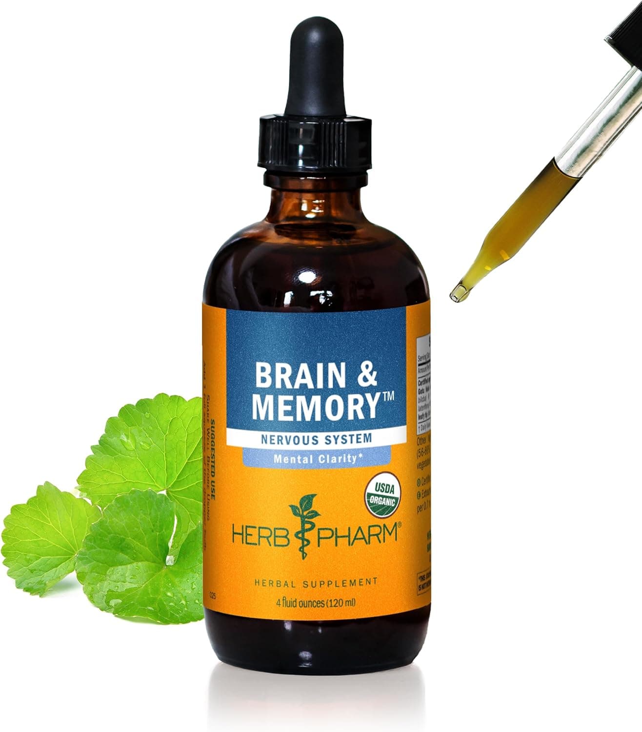 Herb Pharm Brain & Memory | Herbal Supplement for Memory | 120 ML